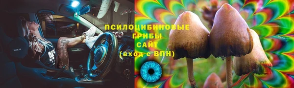 дурь Верея