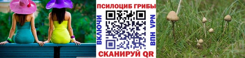 Псилоцибиновые грибы Cubensis мориарти клад Северобайкальск магазин продажи